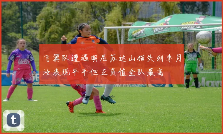 飞翼队遭遇明尼苏达山猫失利李月汝表现平平但正负值全队最高